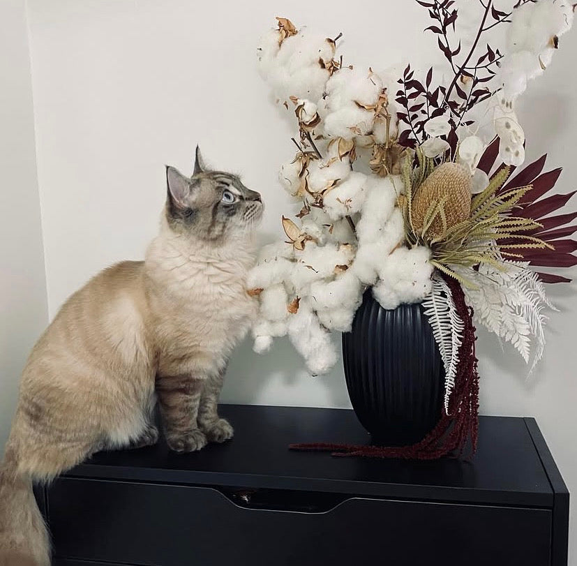 Charming composition of dried native flowers with a cat, perfectly capturing the essence of Deb Native Beauty by Naked Fern Florals, emphasizing the joy of same day delivery flowers native dried flowers. A delightful addition to any home. #brisbaneflorist, #everydayflowers, #mothersdayflowers, #Nakedfernflowers, #weddingflowers
