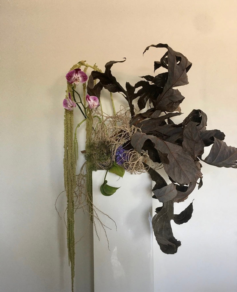 Artistic arrangement of unique dried native flora showcased in a modern vase by Naked Fern Florals, signifying luxury and the beauty of nature with same day delivery flowers native dried flowers. A timeless statement piece for decor. #brisbaneflorist, #everydayflowers, #mothersdayflowers, #Nakedfernflowers, #weddingflowers