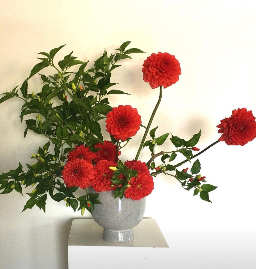 Elegant red dahlia floral arrangement in a sophisticated vase, showcasing the beauty of fresh flowers from Naked Fern Florals, part of the Romantic Pink, Red & White Fresh Flower Delivery collection.